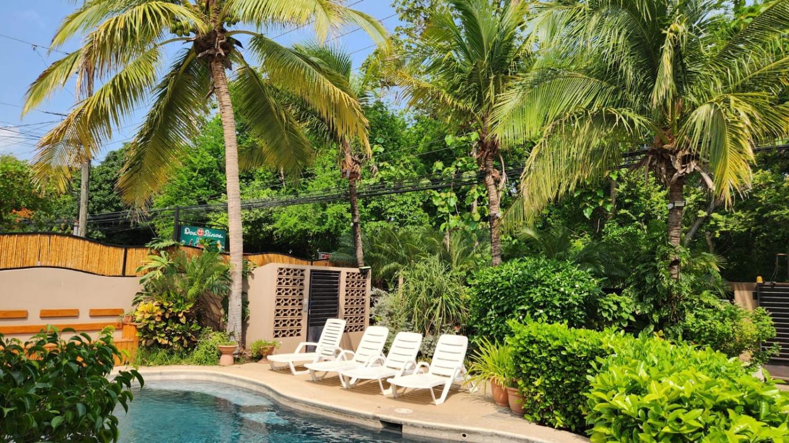 Guest House Apartment Playa Flamingo
